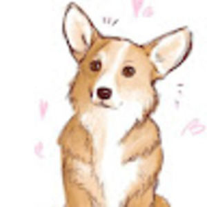 Meet your Posher, Paige